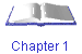 Chapter 1