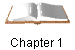 Chapter 1